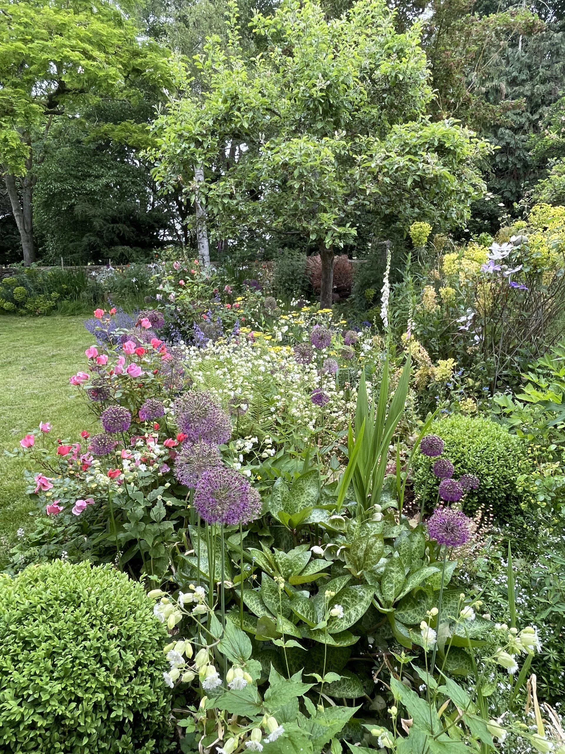 Perennial Flower Borders - how to create them - Blooming Lucky